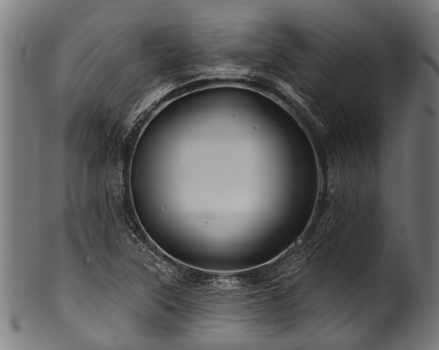 X0000100971315200806241542