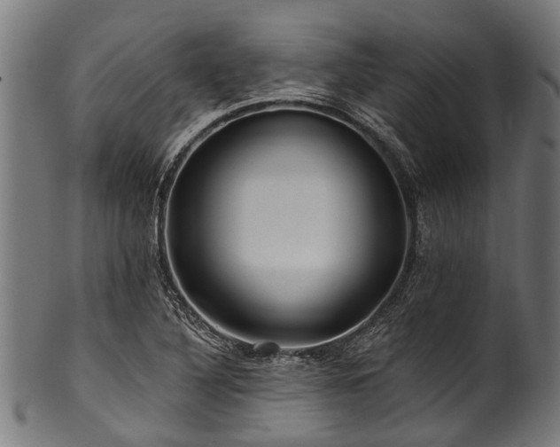 X0000100971316200806241542