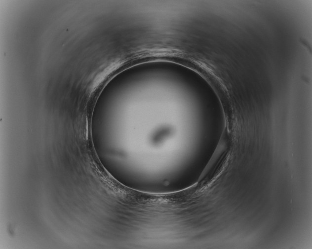 X0000100971317200806241542