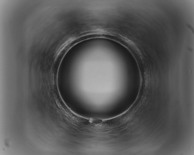 X0000100971318200806241542