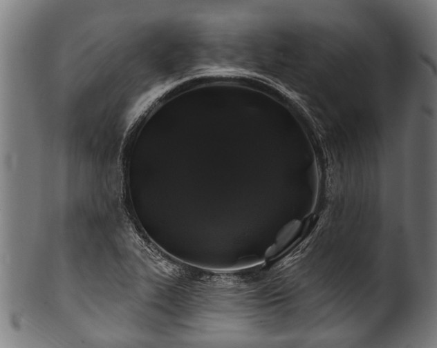 X0000100971319200806241542