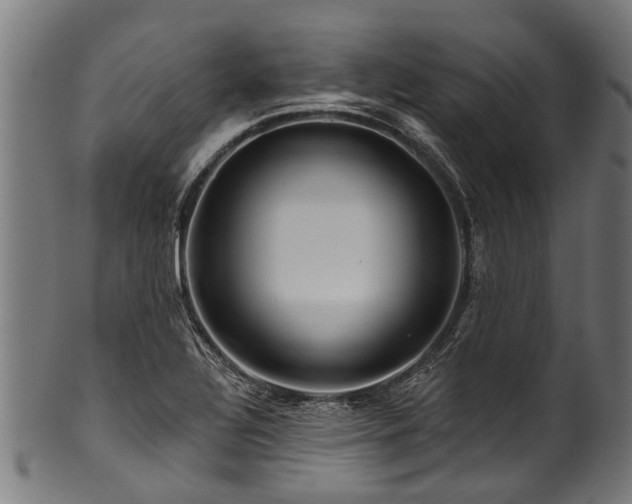 X0000100971320200806241542