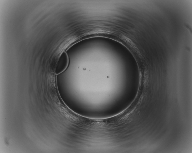 X0000100971321200806241542