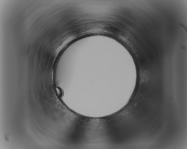 X0000100971322200806241542