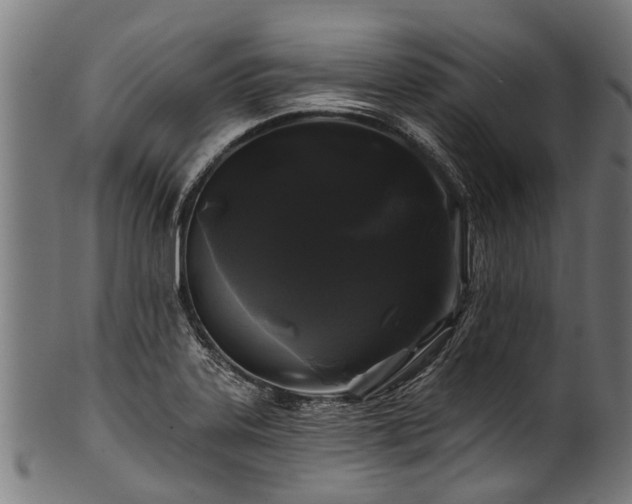 X0000100971323200806241542