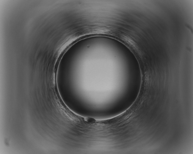 X0000100971324200806241542