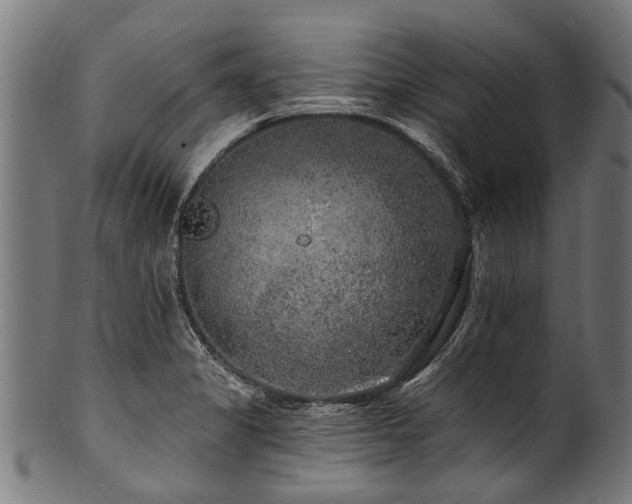 X0000100971325200806241542