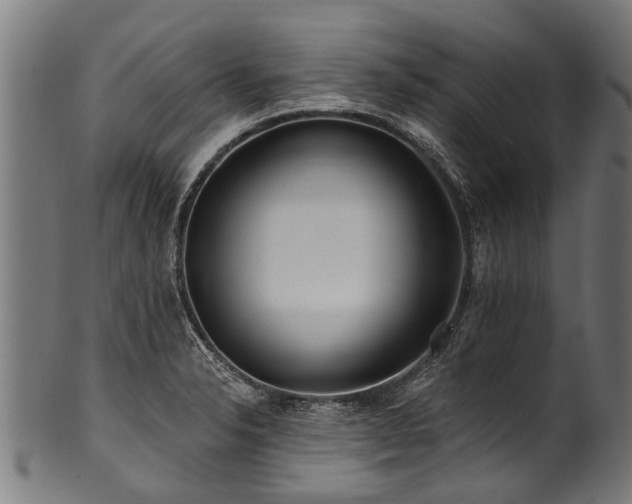 X0000100971326200806241542