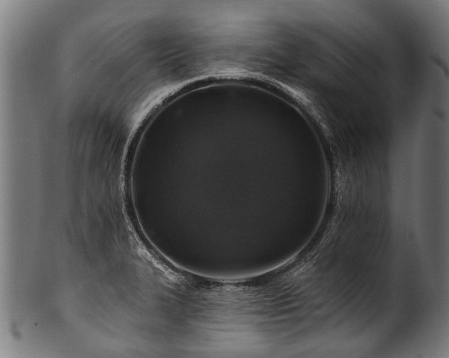 X0000100971327200806241542