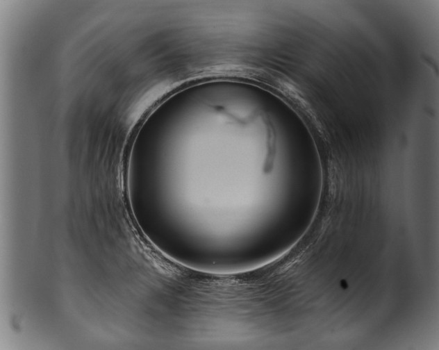 X0000100971328200806241542