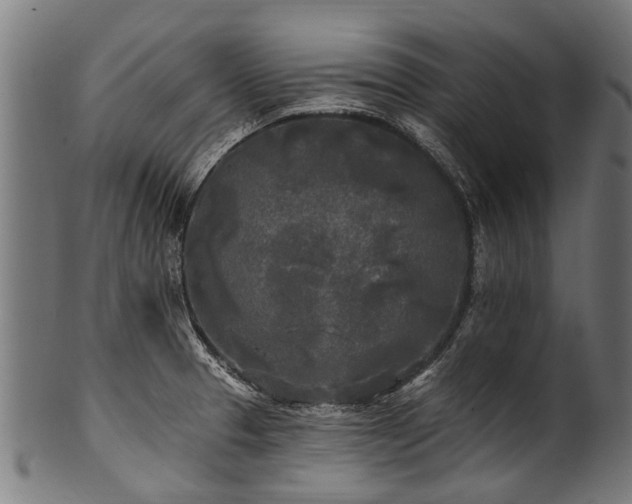 X0000100971329200806241542