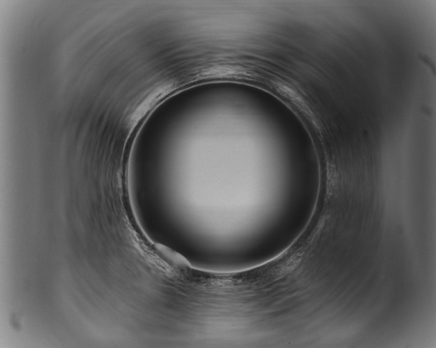 X0000100971330200806241542