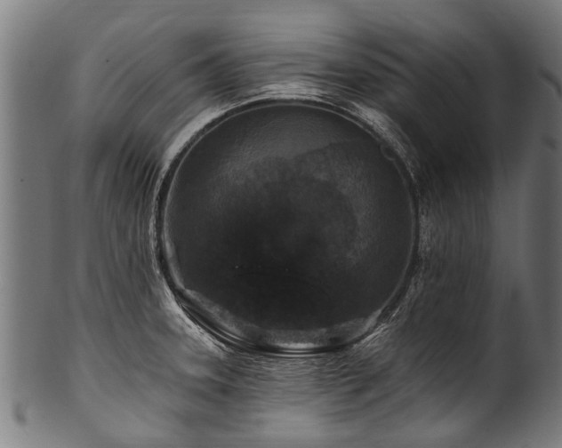 X0000100971331200806241542