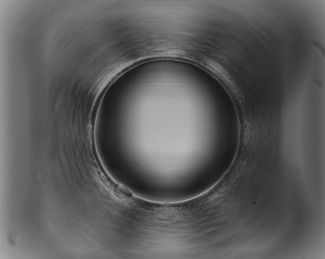 X0000100971332200806241542