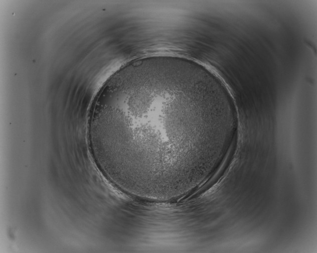 X0000100971333200806241542