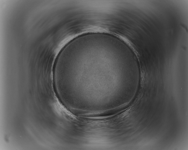 X0000100971335200806241542