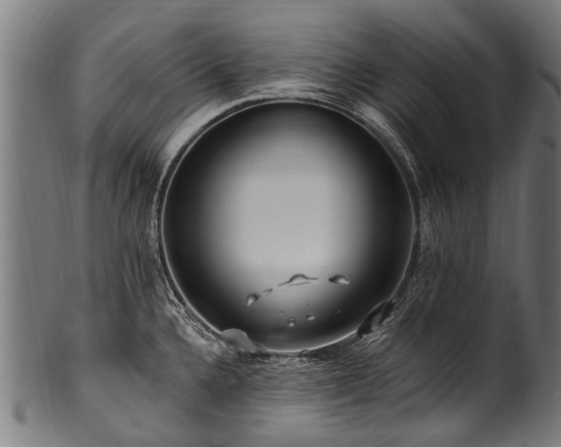 X0000100971336200806241542