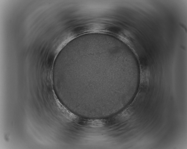 X0000100971338200806241542