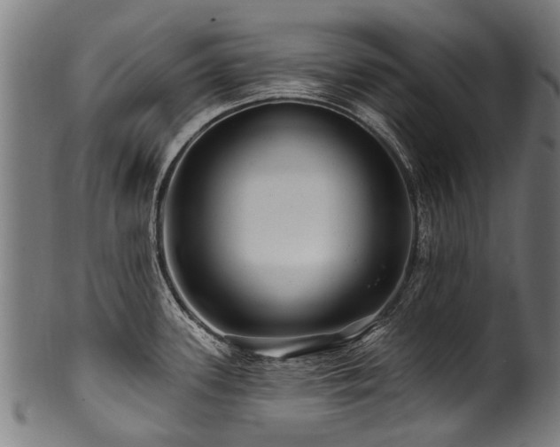 X0000100971339200806241542