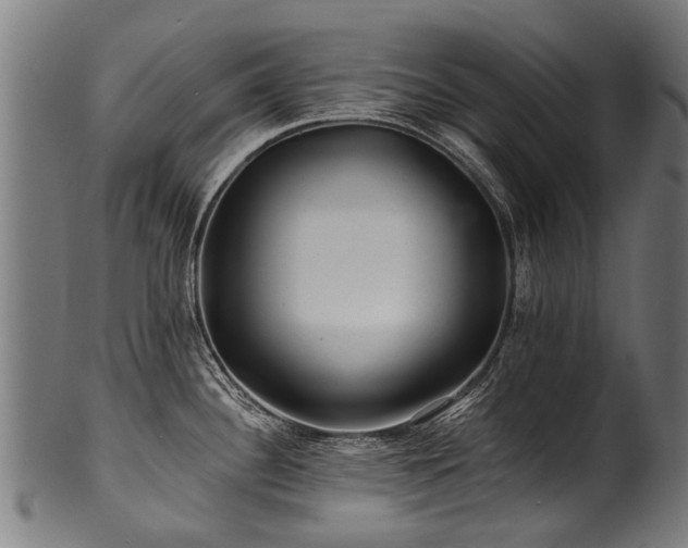 X0000100971340200806241542