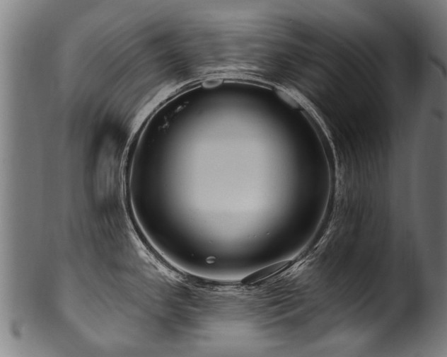 X0000100971341200806241542