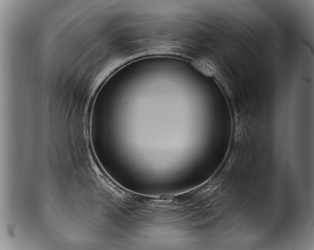 X0000100971342200806241542