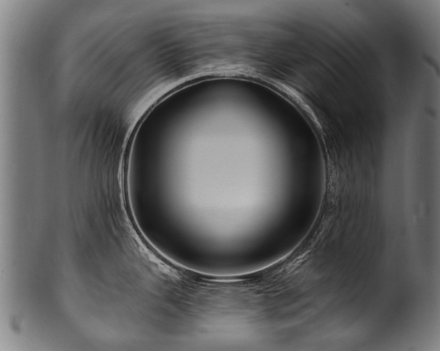 X0000100971343200806241542