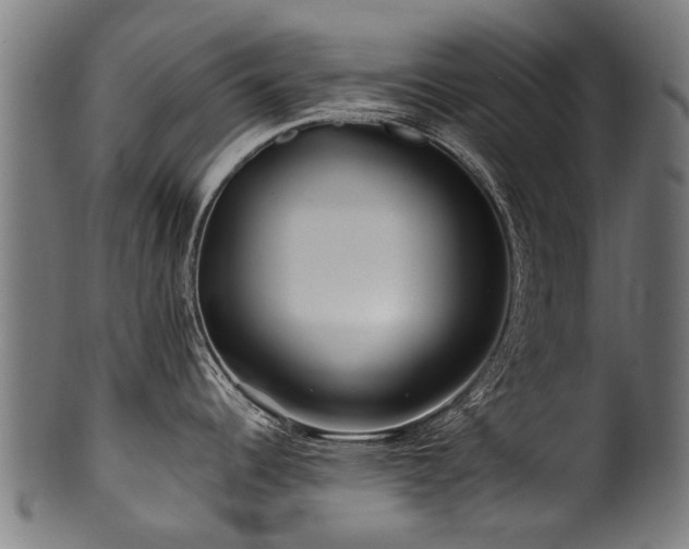 X0000100971344200806241542