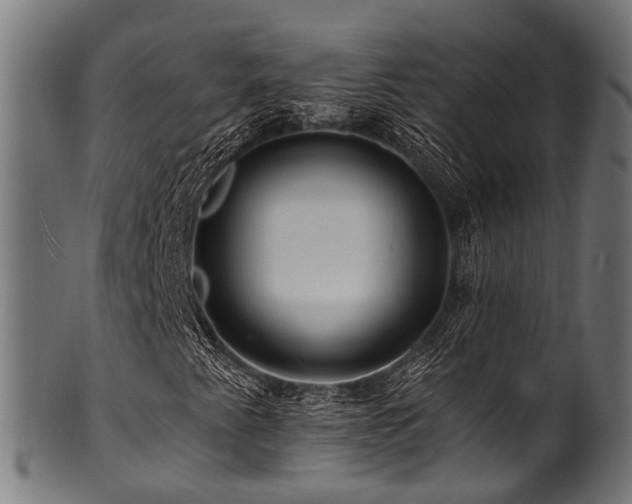 X0000100971345200806241541