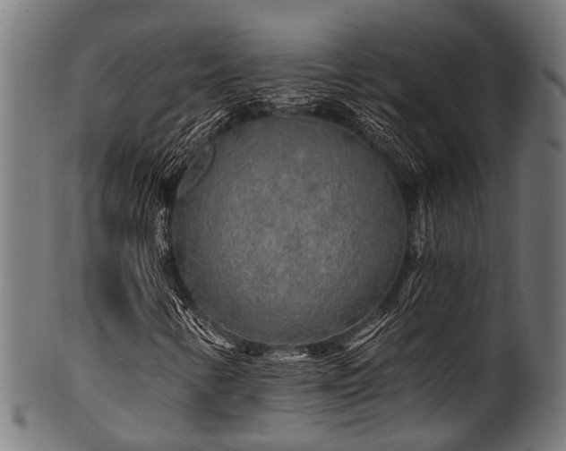 X0000100971346200806241541