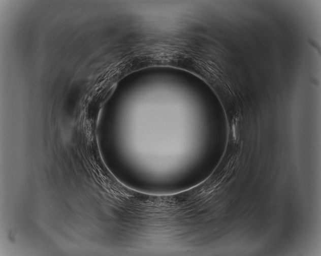 X0000100971347200806241541