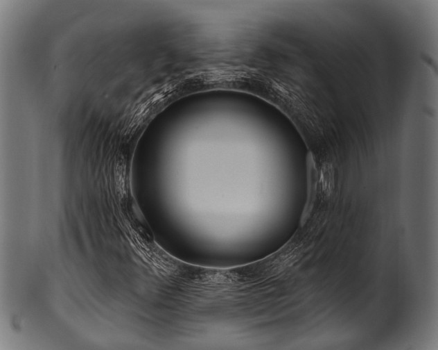 X0000100971348200806241541