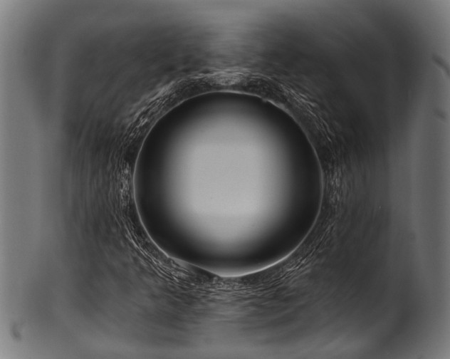 X0000100971349200806241541