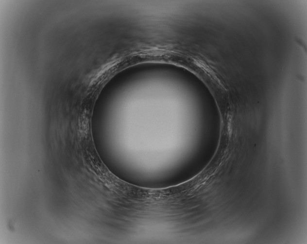 X0000100971350200806241541