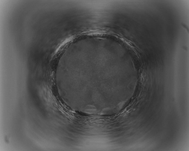 X0000100971351200806241541