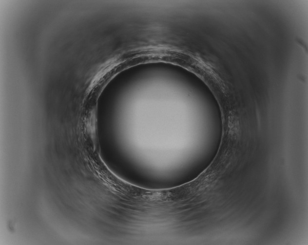 X0000100971352200806241541