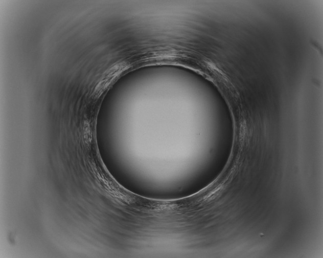 X0000100971353200806241541