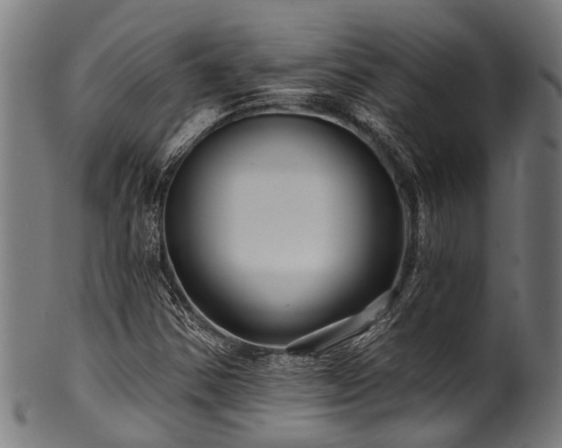 X0000100971354200806241541