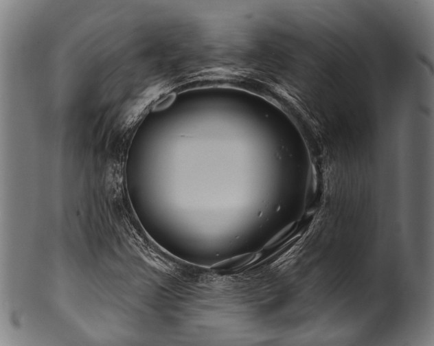 X0000100971355200806241541