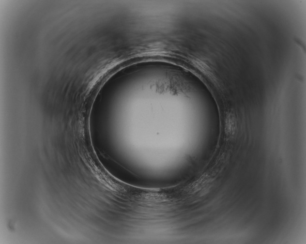 X0000100971356200806241541