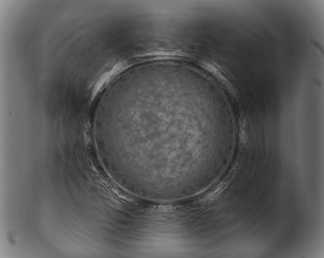 X0000100971357200806241541