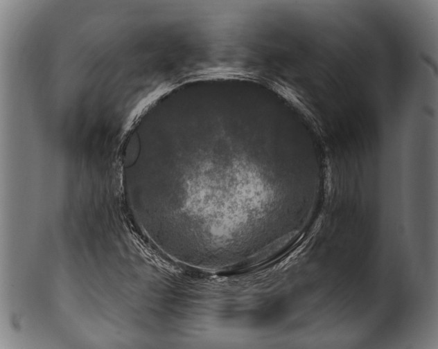 X0000100971358200806241541