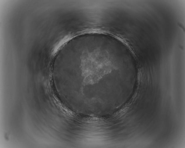 X0000100971359200806241541