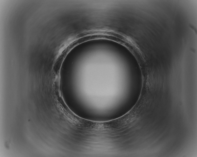 X0000100971360200806241541