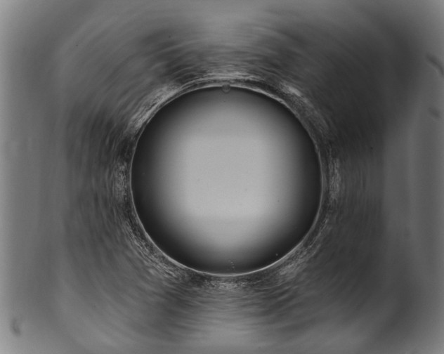 X0000100971361200806241541