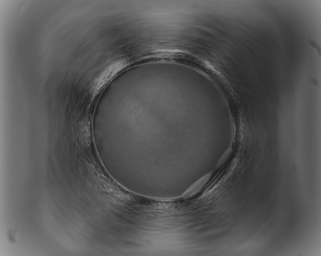 X0000100971362200806241541