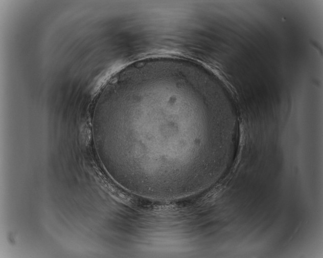 X0000100971363200806241541