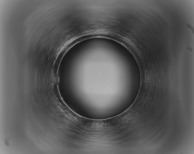 X0000100971364200806241541