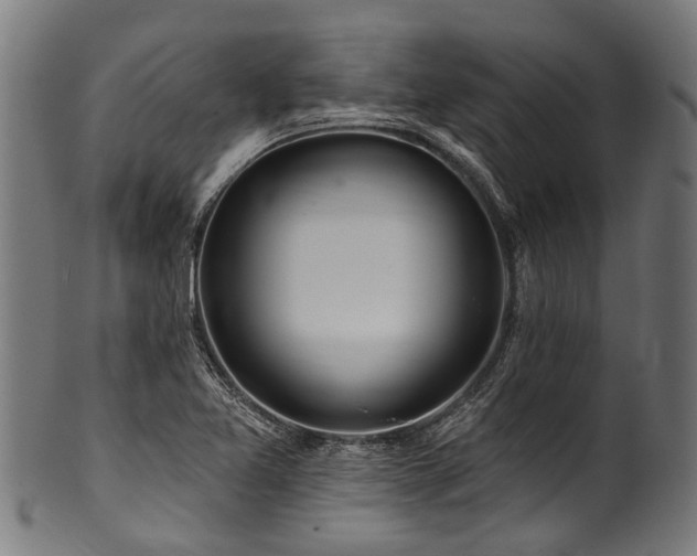 X0000100971365200806241541