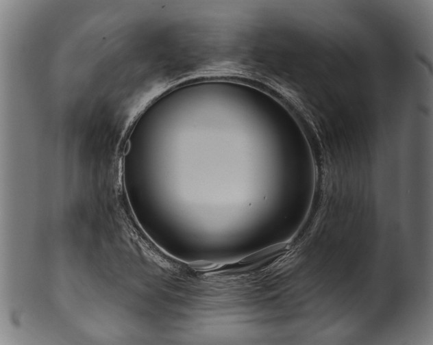 X0000100971366200806241541